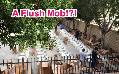 A Flush Mob!?!